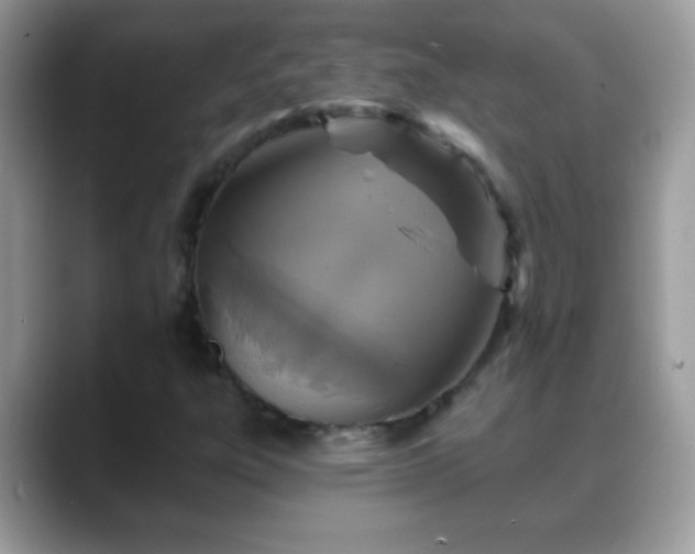 X0000088631303200706011137