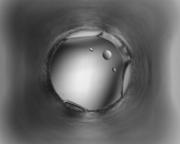 X0000088631304200706011137