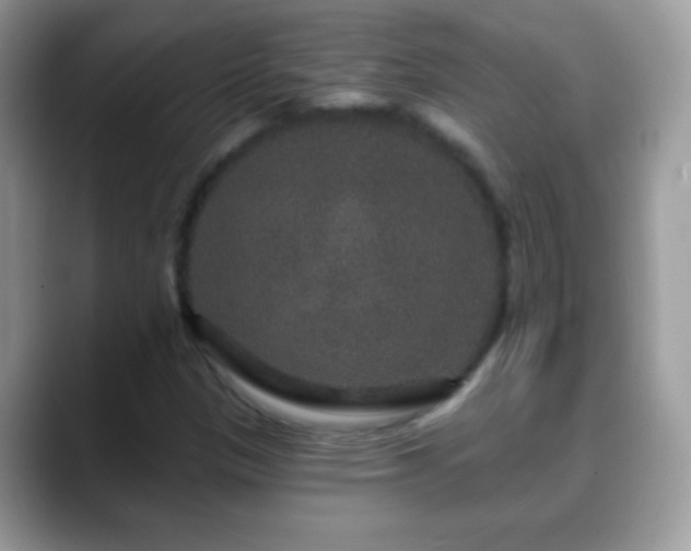 X0000088631305200706011137