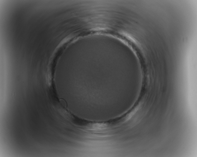 X0000088631306200706011137