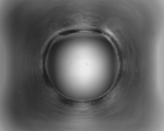 X0000088631307200706011137