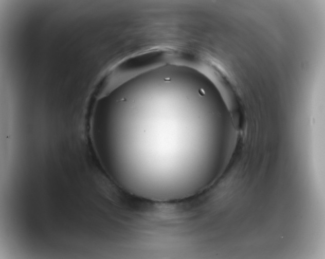 X0000088631308200706011137