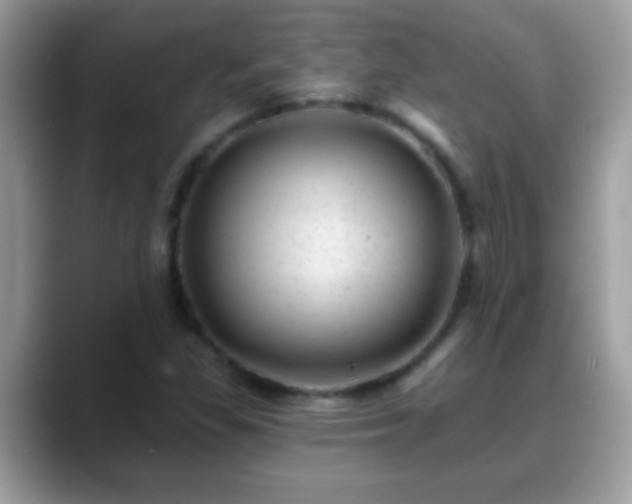 X0000088631309200706011137