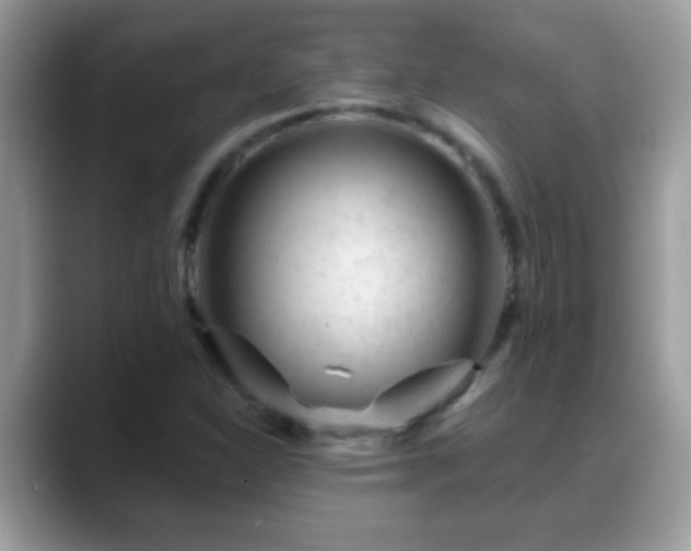 X0000088631310200706011137