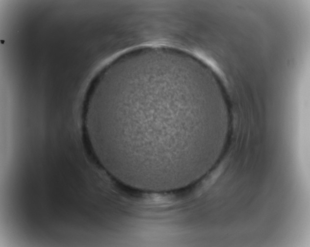 X0000088631311200706011137