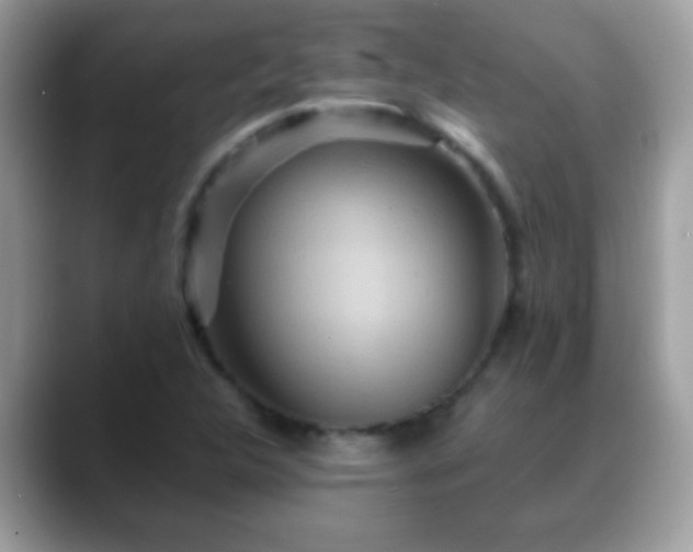 X0000088631312200706011137