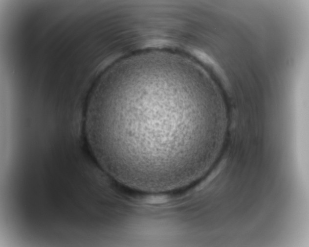 X0000088631313200706011137