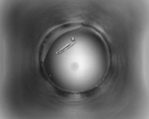 X0000088631315200706011137