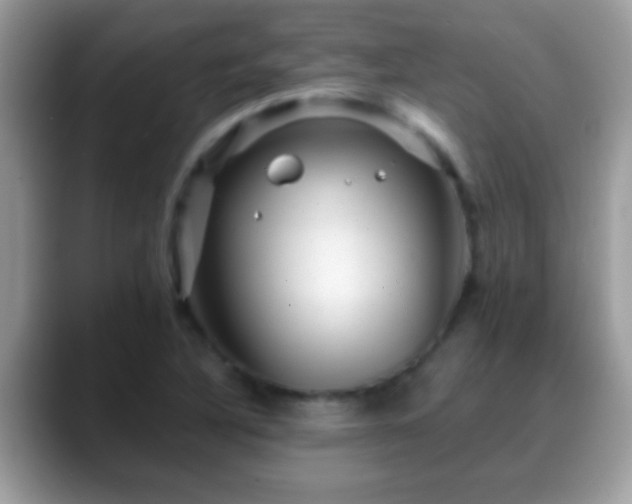 X0000088631316200706011137