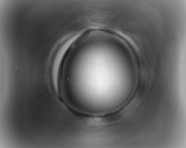 X0000088631317200706011137