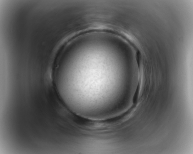 X0000088631318200706011137