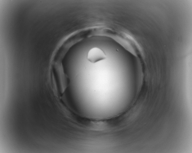 X0000088631320200706011137