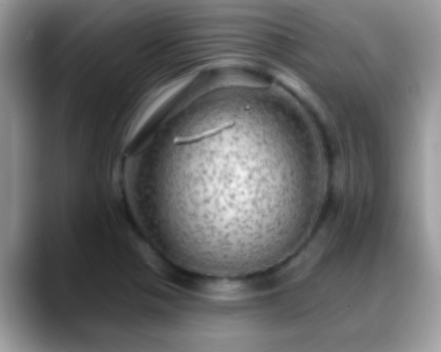 X0000088631321200706011137