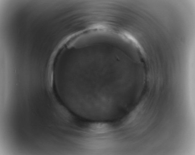 X0000088631323200706011137