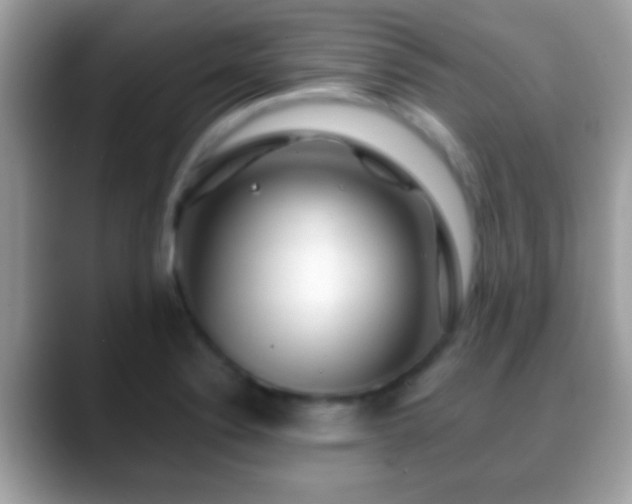 X0000088631324200706011138