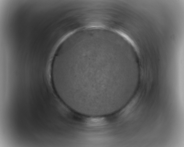 X0000088631325200706011138