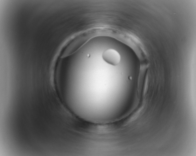 X0000088631326200706011138