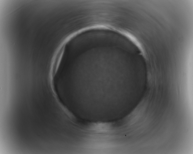 X0000088631327200706011138