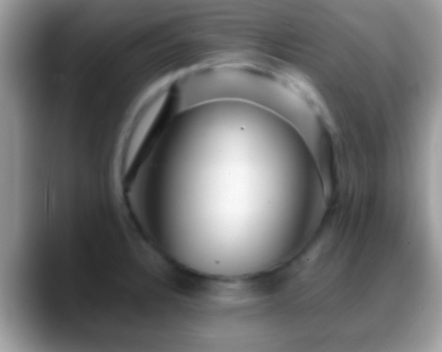 X0000088631328200706011138