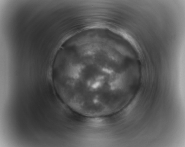 X0000088631329200706011138