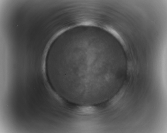 X0000088631331200706011138