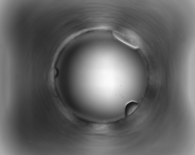 X0000088631332200706011138