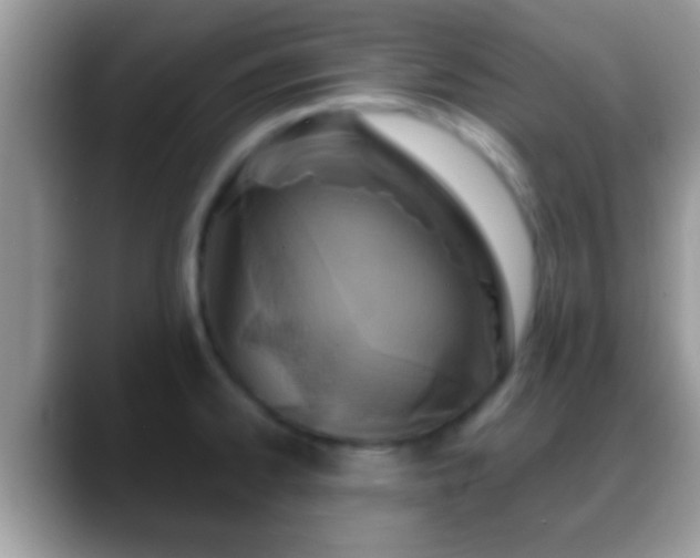 X0000088631334200706011138