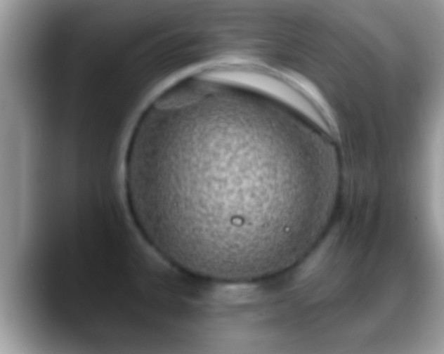 X0000088631335200706011138