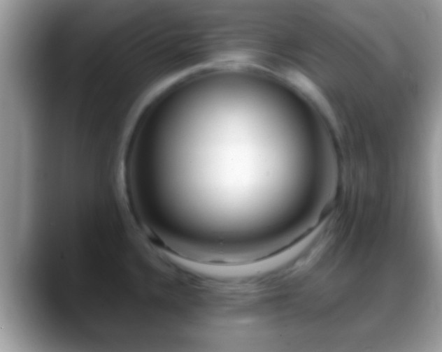 X0000088631336200706011138