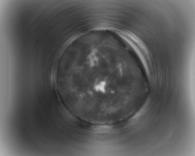 X0000088631337200706011138