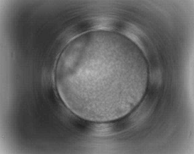 X0000088631338200706011138