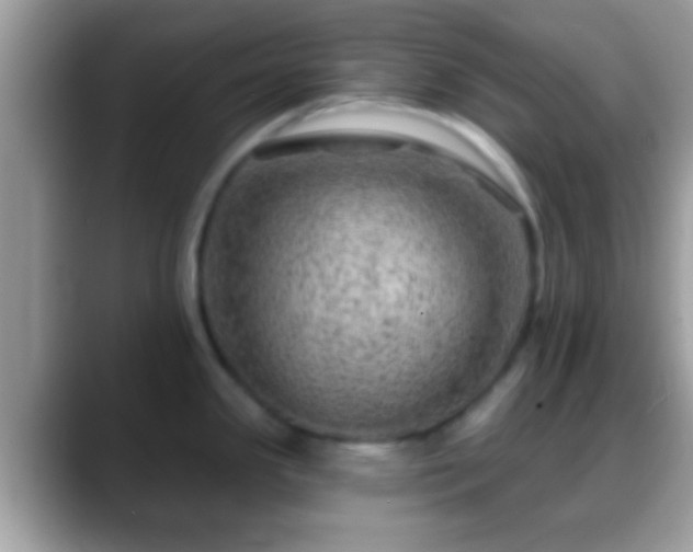 X0000088631341200706011138