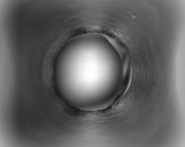 X0000088631345200706011137