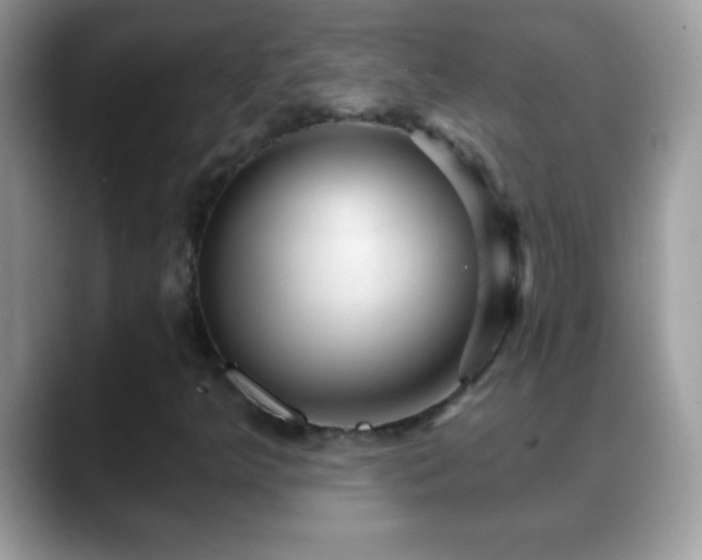 X0000088631349200706011137