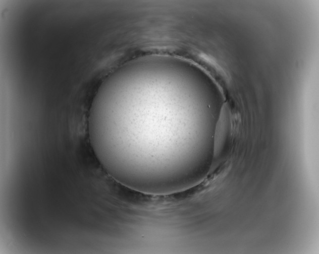 X0000088631350200706011137