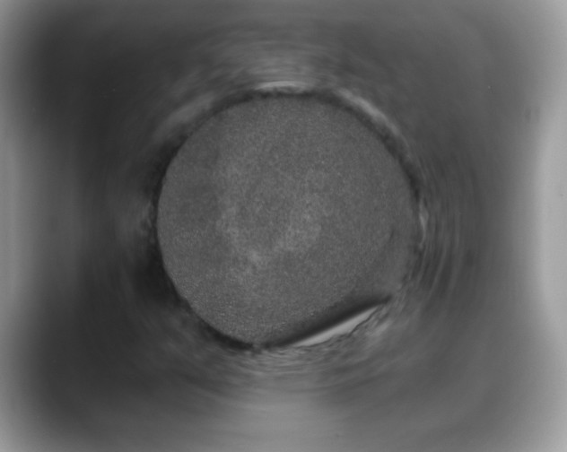 X0000088631351200706011137