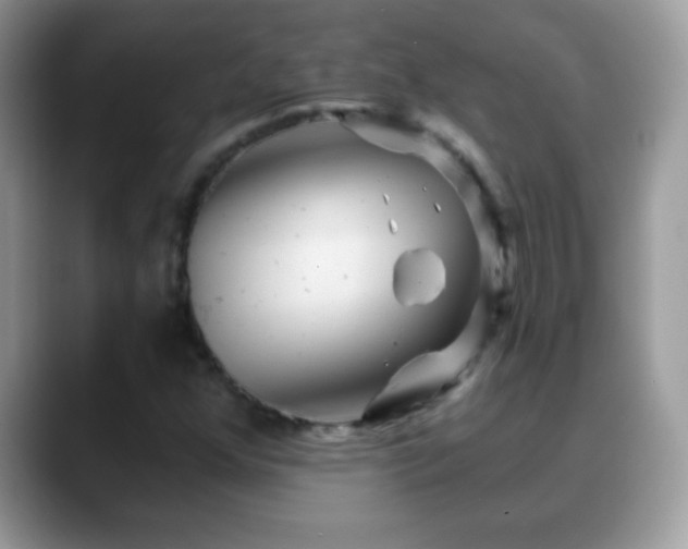 X0000088631352200706011137