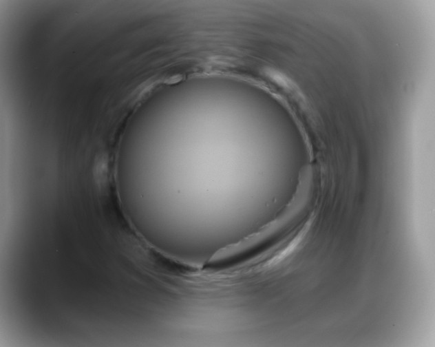 X0000088631353200706011137