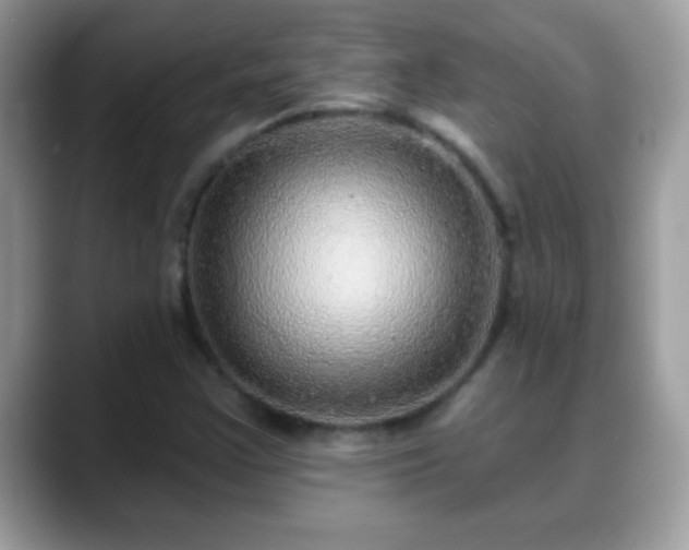 X0000088631355200706011137