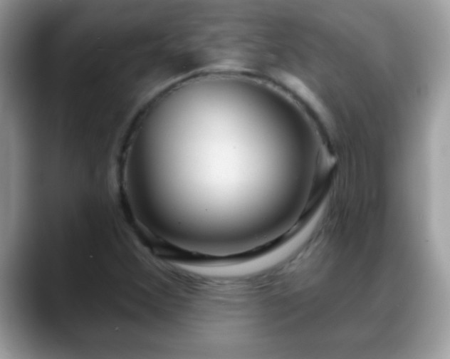 X0000088631356200706011137