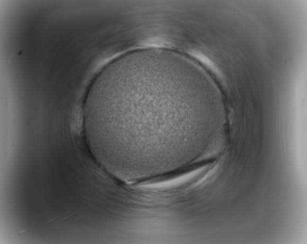 X0000088631358200706011137