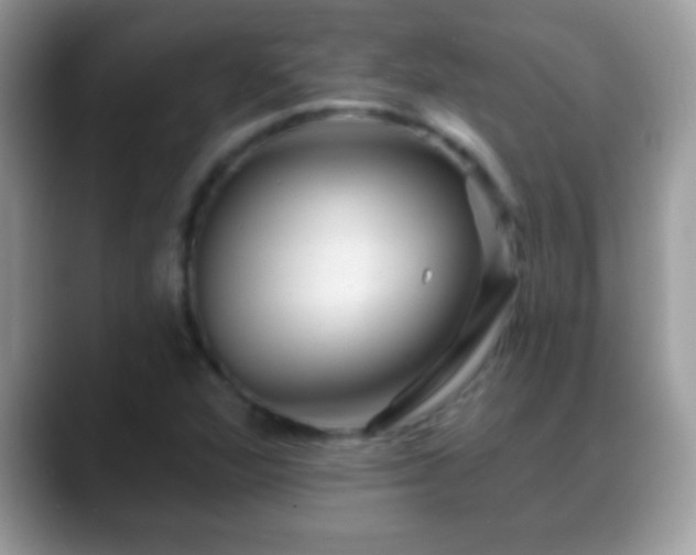 X0000088631360200706011137