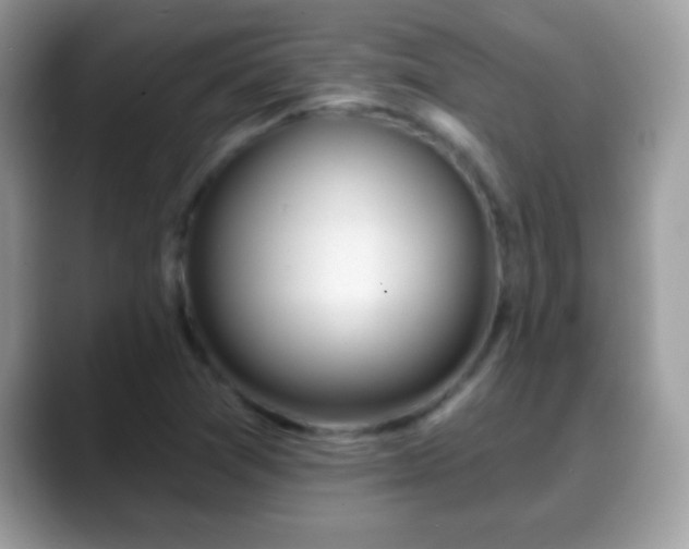 X0000088631361200706011137