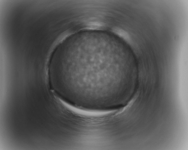 X0000088631362200706011137