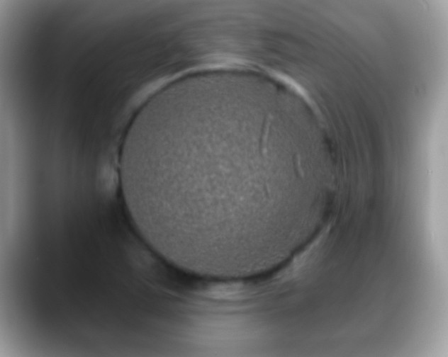 X0000088631363200706011137