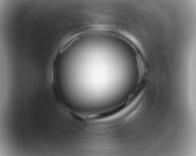 X0000088631365200706011137