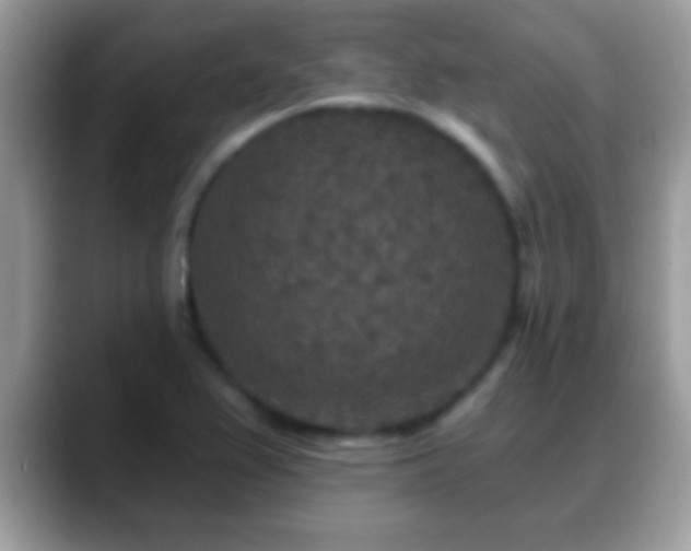 X0000088631367200706011137