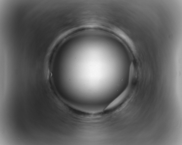 X0000088631368200706011137