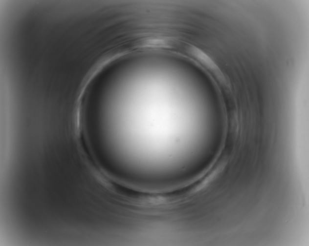 X0000088631370200706011137