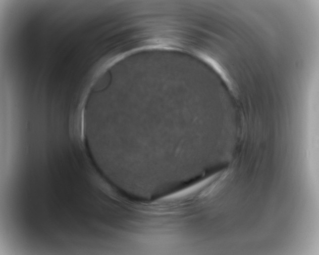 X0000088631371200706011137